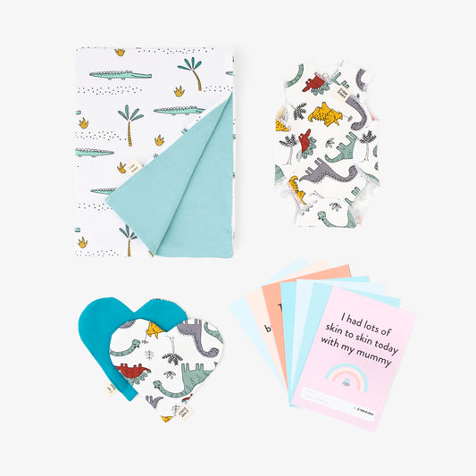THE Ultimate NICU gift set (Blue/Green) - NICU vest, nest blanket, bonding hearts and milestone cards